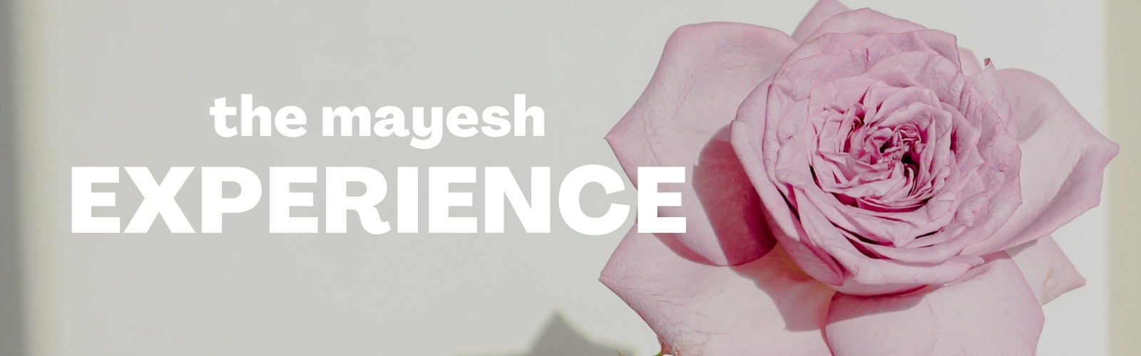 The Mayesh Experience